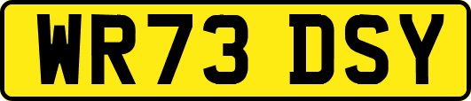 WR73DSY
