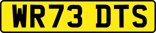 WR73DTS