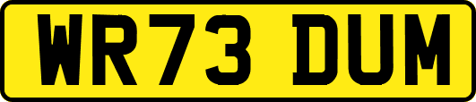WR73DUM