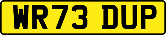 WR73DUP