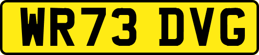 WR73DVG