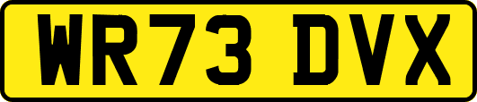 WR73DVX