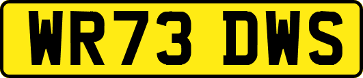 WR73DWS