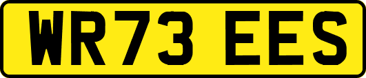 WR73EES