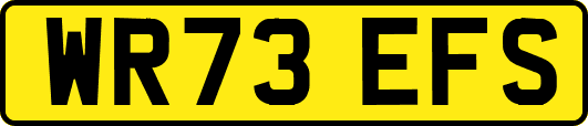 WR73EFS