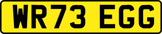 WR73EGG