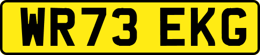 WR73EKG