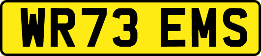 WR73EMS