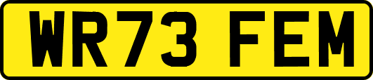 WR73FEM