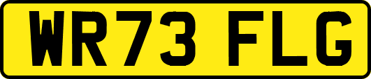 WR73FLG