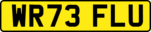 WR73FLU