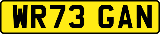 WR73GAN