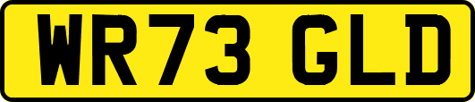 WR73GLD
