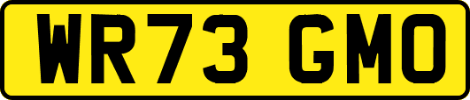 WR73GMO