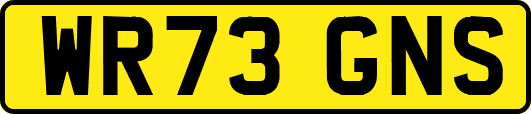 WR73GNS