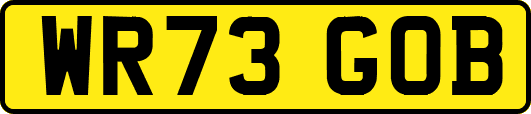 WR73GOB