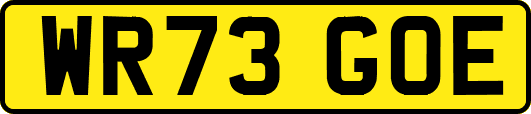 WR73GOE