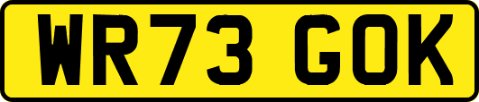 WR73GOK