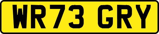 WR73GRY