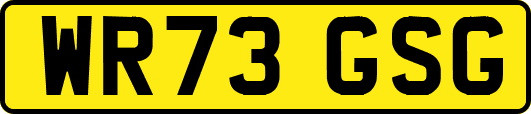 WR73GSG