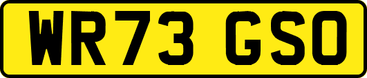WR73GSO