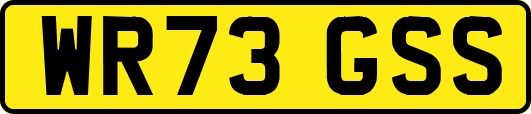 WR73GSS