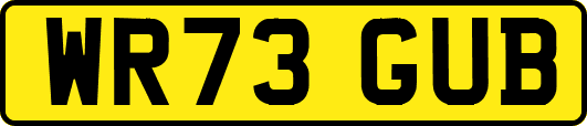 WR73GUB