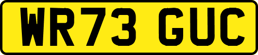 WR73GUC