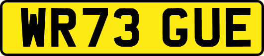 WR73GUE