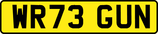 WR73GUN