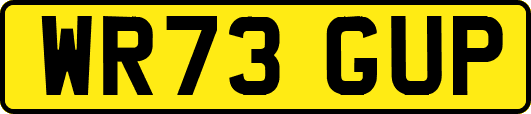 WR73GUP