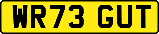 WR73GUT