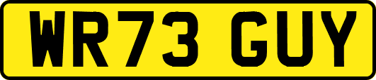 WR73GUY