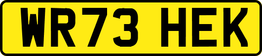 WR73HEK