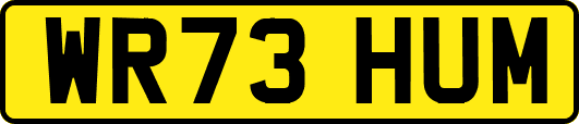 WR73HUM