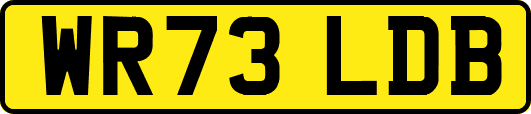 WR73LDB