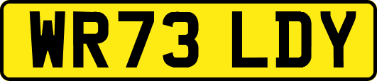 WR73LDY