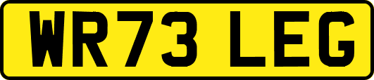 WR73LEG