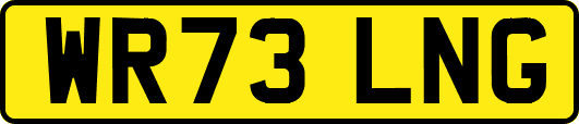 WR73LNG