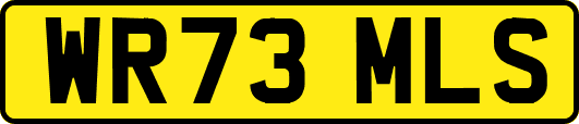 WR73MLS
