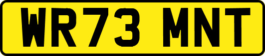 WR73MNT