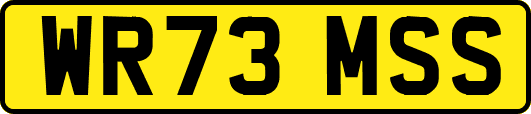WR73MSS