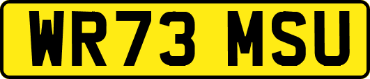 WR73MSU