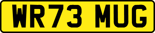WR73MUG