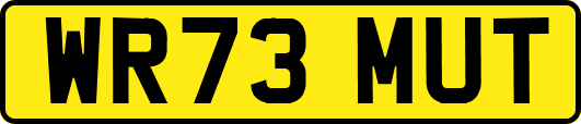WR73MUT