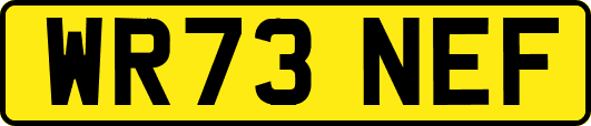WR73NEF