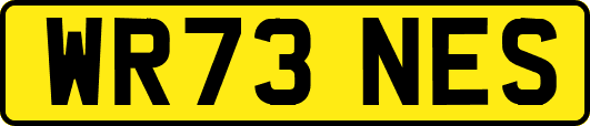 WR73NES