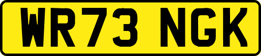 WR73NGK