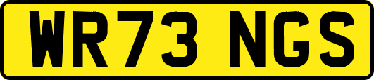 WR73NGS