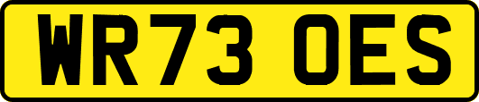 WR73OES